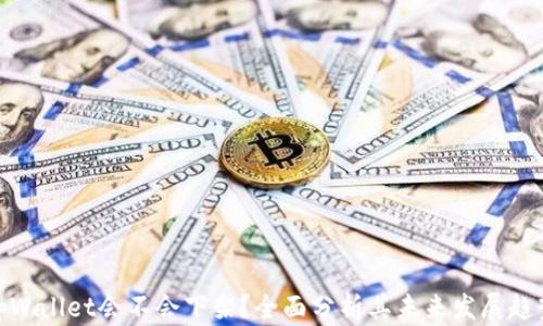 
tpWallet会不会下架？全面分析其未来发展趋势