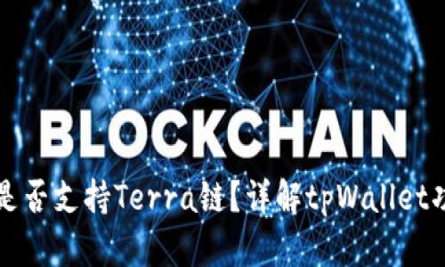 tpWallet是否支持Terra链？详解tpWallet功能与优势