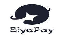 如何使用tpWallet提币：详细