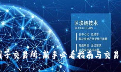 币圈子交易所：新手必看指南与交易策略