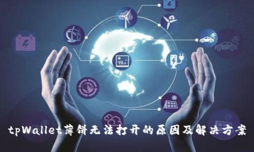 tpWallet薄饼无法打开的原因及解决方案
