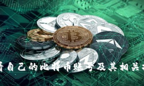 如何查看自己的比特币账号及其相关操作详解