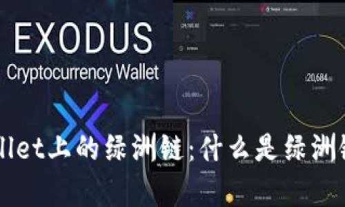 详解tpWallet上的绿洲链：什么是绿洲链及其应用