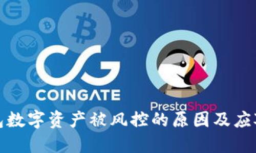冷钱包数字资产被风控的原因及应对策略