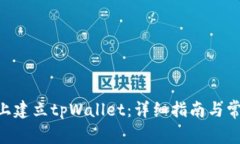 如何在BSC上建立tpWallet：详