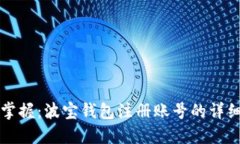 轻松掌握：波宝钱包注册
