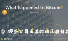 揭开神秘面纱：哪些公司