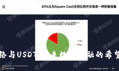 波场网络与USDT：未来数字金融的希望与挑战