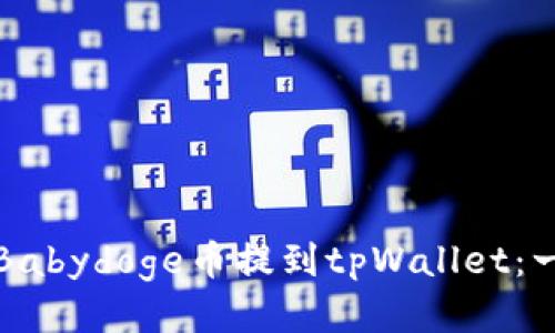 如何轻松将Babydoge币提到tpWallet：一份详细指南