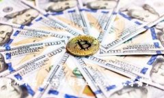 U币交易所平台：如何选择