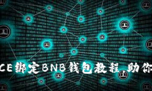 轻松一步步：ICE绑定BNB钱包教程，助你畅游加密世界