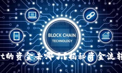 转入tpWallet的资金去哪了？揭秘资金流转背后的秘密！