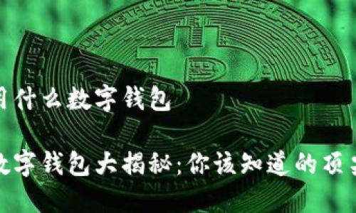 国外用什么数字钱包

全球数字钱包大揭秘：你该知道的顶尖选择