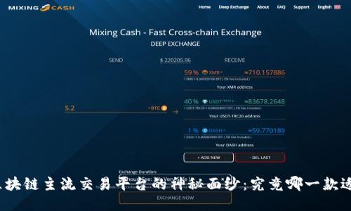 揭开区块链主流交易平台的神秘面纱：究竟哪一款适合你？