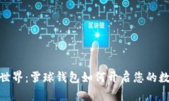 探索区块链世界：雪球钱