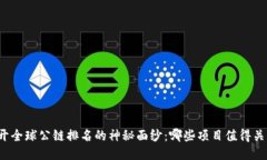 揭开全球公链排名的神秘