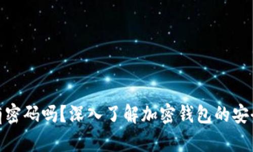 加密钱包地址有密码吗？深入了解加密钱包的安全性和保护措施