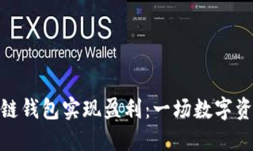 如何通过区块链钱包实现盈利：一场数字资产的精彩冒险