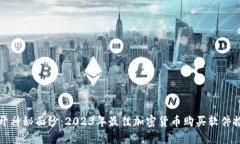 揭开神秘面纱：2023年最佳