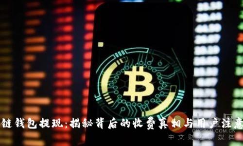 区块链钱包提现：揭秘背后的收费真相与用户注意事项