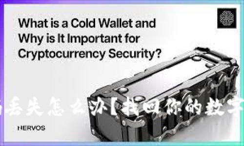 区块链钱包密码丢失怎么办？找回你的数字财富的绝佳指南