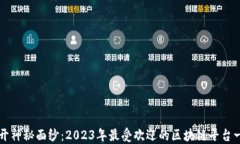 揭开神秘面纱：2023年最受