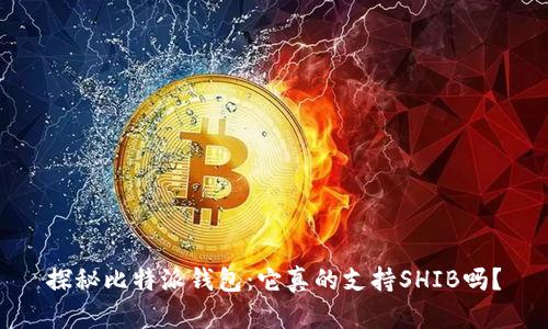 探秘比特派钱包：它真的支持SHIB吗？