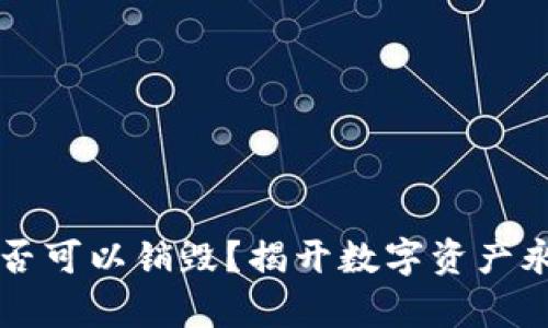 区块链钱包是否可以销毁？揭开数字资产永久消失的真相