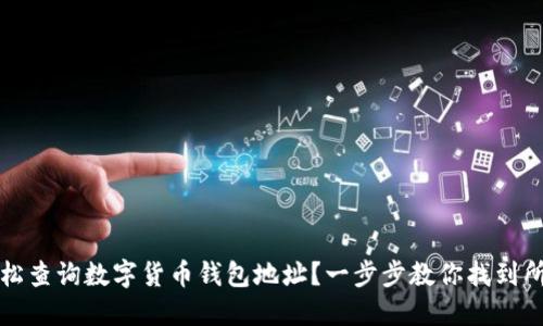 如何轻松查询数字货币钱包地址？一步步教你找到所需信息