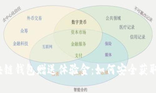揭秘区块链钱包赠送体验金：如何安全获取与使用？