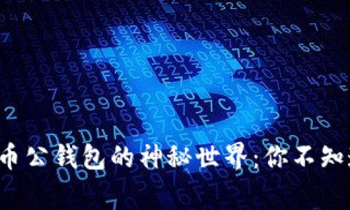 探索数字货币公钱包的神秘世界：你不知道的那些事！