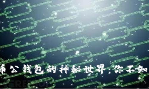 探索数字货币公钱包的神秘世界：你不知道的那些事！