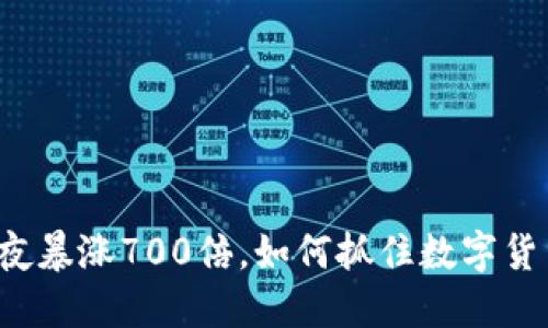 狗狗币一夜暴涨700倍，如何抓住数字货币的风口？