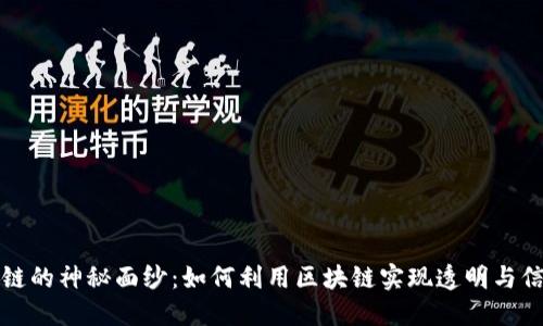 揭开区块链的神秘面纱：如何利用区块链实现透明与信任的证明