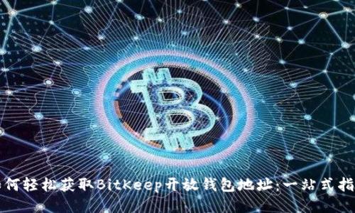 如何轻松获取BitKeep开放钱包地址：一站式指南