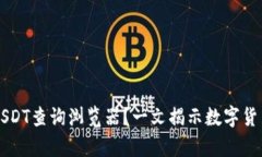 如何高效使用USDT查询浏览