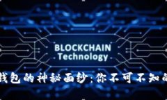 揭秘虚拟币钱包的神秘面