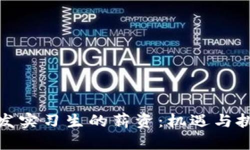 探索区块链钱包开发实习生的薪资：机遇与挑战并存的行业前景