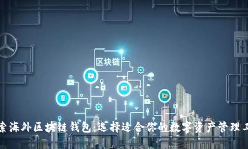 探索海外区块链钱包：选择适合你的数字资产管理工具