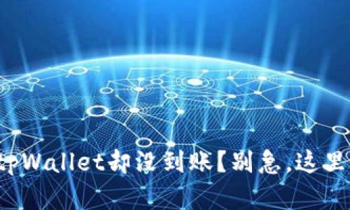 火币提币到tpWallet却没到账？别急，这里有解决办法！