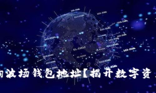 如何轻松查询波场钱包地址？揭开数字资产管理的秘密