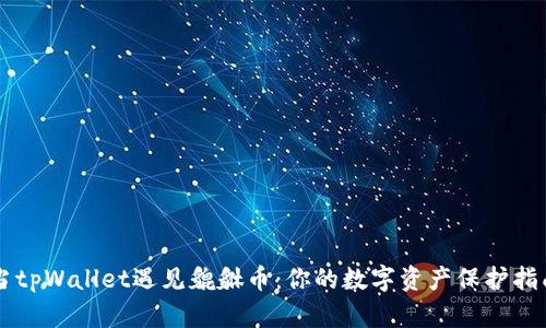 当tpWallet遇见貔貅币：你的数字资产保护指南