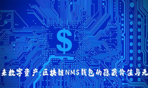 探索未来数字资产：区块链NMS钱包的隐藏价值与无限可能