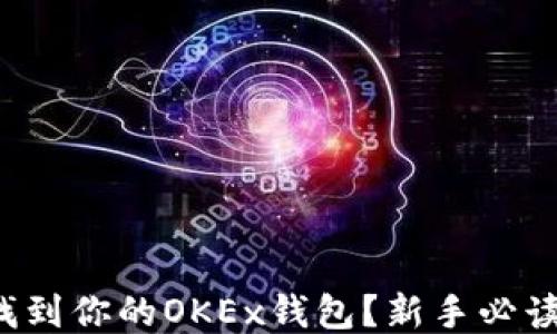 
如何找到你的OKEx钱包？新手必读指南！