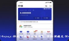 探索Gopay：快速下载中文版