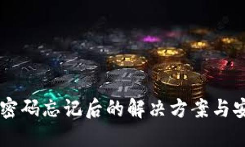 IM钱包密码忘记后的解决方案与安全建议
