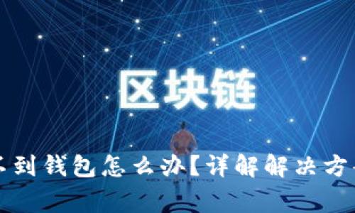 虚拟币搜索不到钱包怎么办？详解解决方案与注意事项