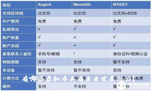  有哪些虚拟币具有未来发展潜力？