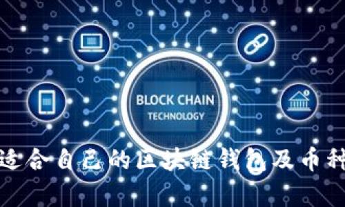 如何选择适合自己的区块链钱包及币种存储方案