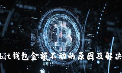 ownbit钱包金额不动的原因及解决方法